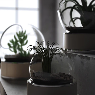 plant set ART Auctor — Ver 3