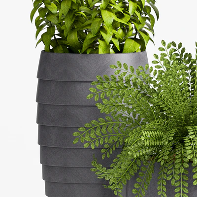 Plant Set -25 — Ver 2
