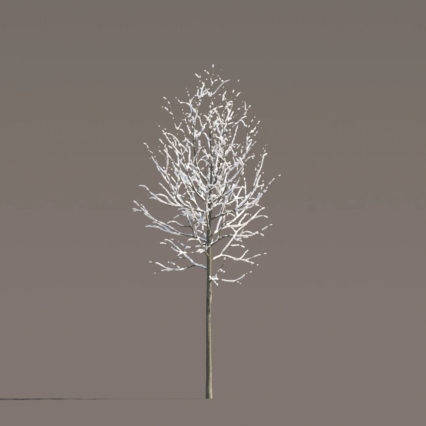 063 winter — Descargar