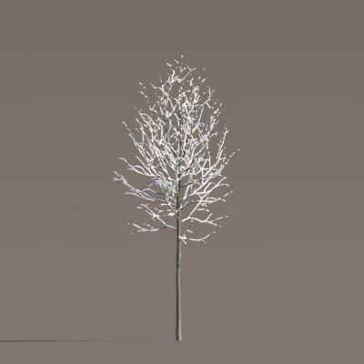063 winter — Descargar