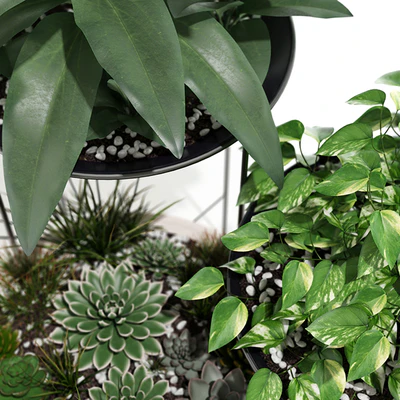 Plants collection 141 Artica — Ver 3