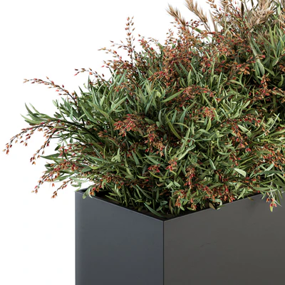 Outdoor Plant Set 166 - Plant Box Bush — Вид 4