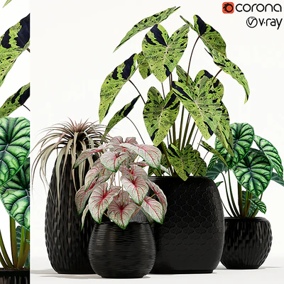 Plants collection 137 — Ver 1