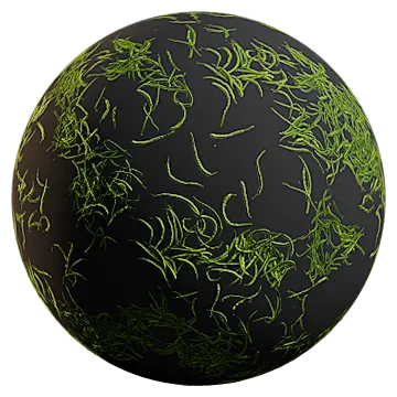 green beans 001 — Descargar