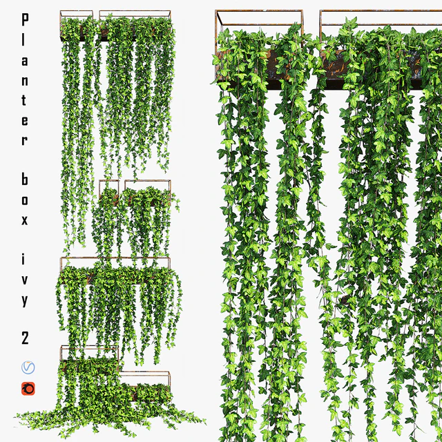 Planter box ivy 2 — Descargar