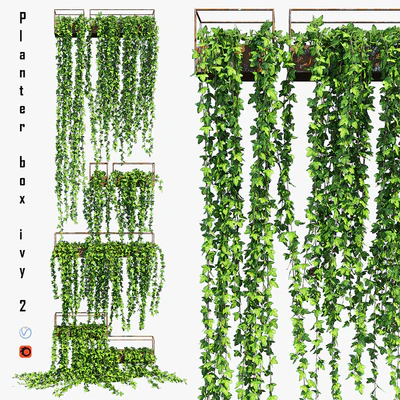 Planter box ivy 2 — Ver 1