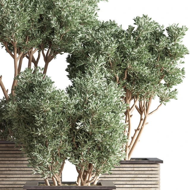 Outdoor Plants tree 22 — Descargar