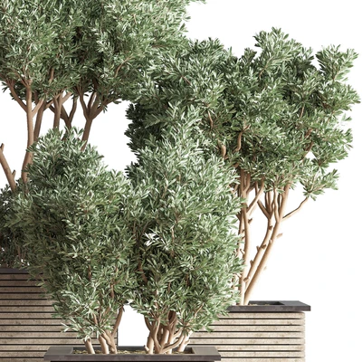 Outdoor Plants tree 22 — Ver 4