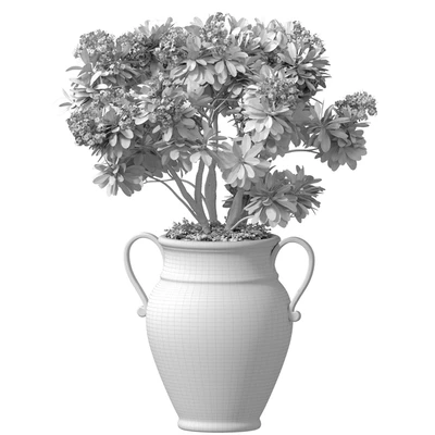 Decorative blooming garden tree with white Plumeria flowers in a vase — Ver 2