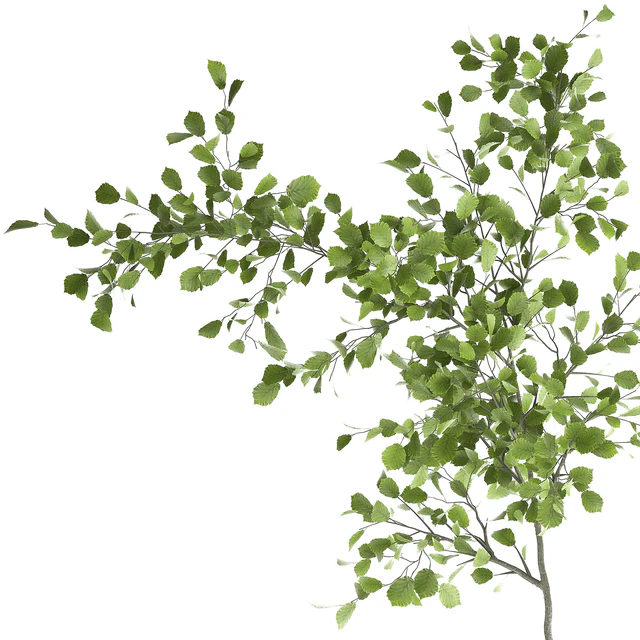 Decorative small Linden tree, Hazel in a rusty metal pot. Set 953. — Descargar