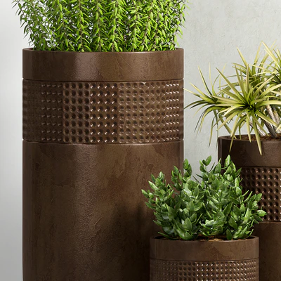 PLANT-38 — Ver 2