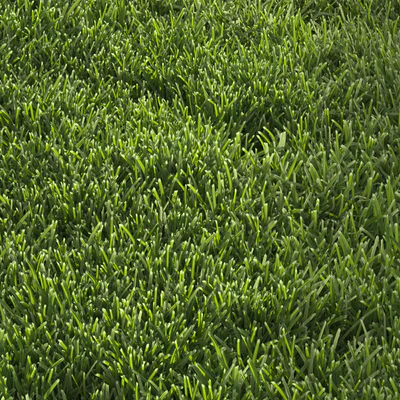 Garden Lawn 6 — Вид 4