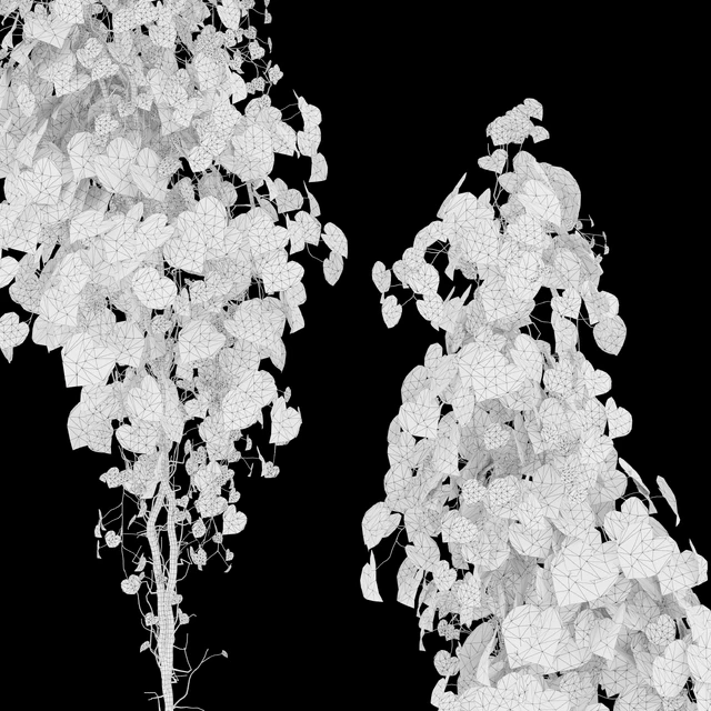 Vine Plant 11 — Скачать