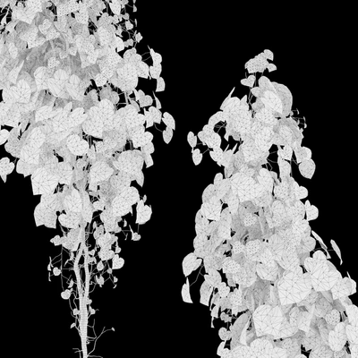 Vine Plant 11 — Вид 4