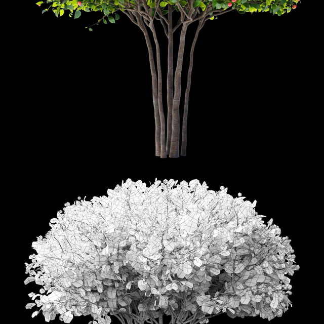 Hawthorn plowy | Crataegus x persimilis — Descargar