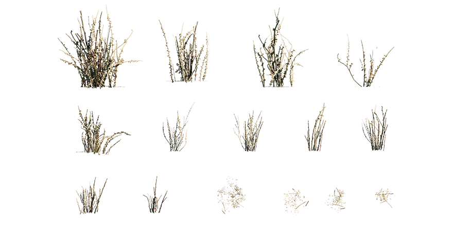 arid weed 001 — Скачать