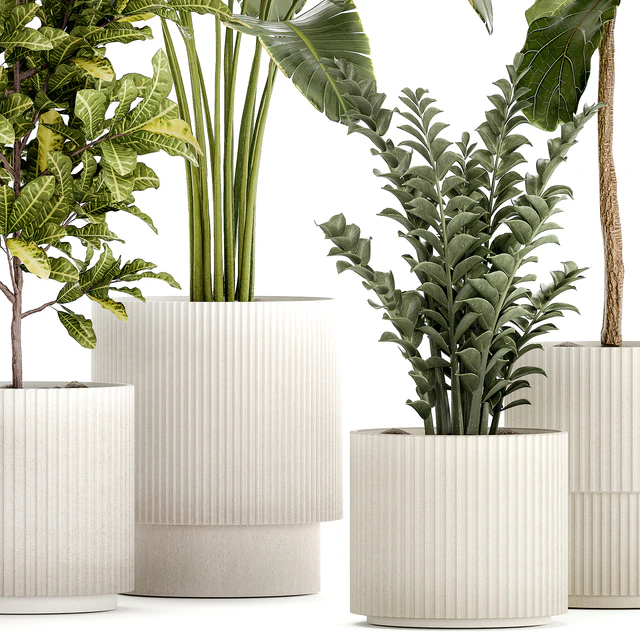 Plant collection 1407 — Descargar
