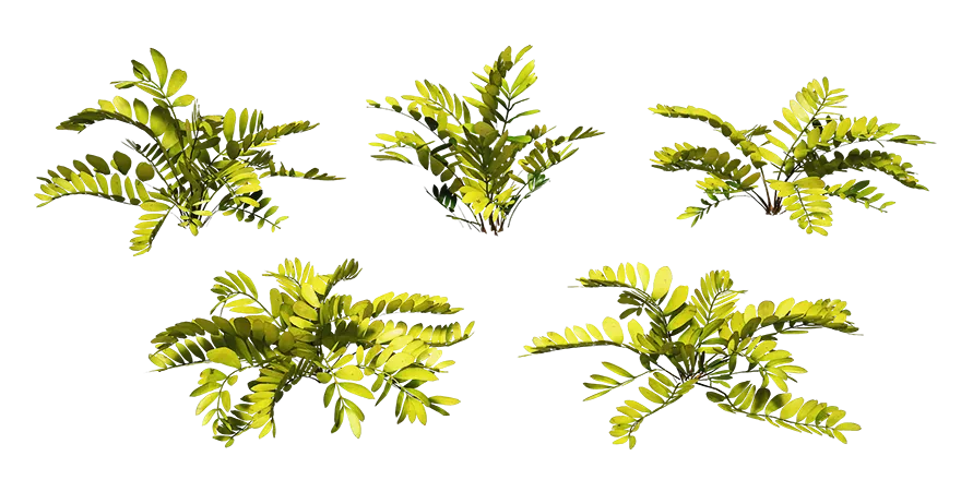 zz plant 001 — Descargar