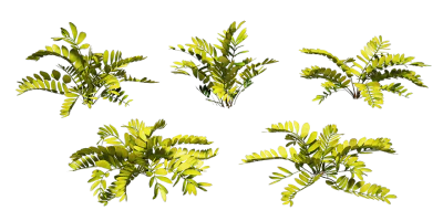 zz plant 001 — Descargar