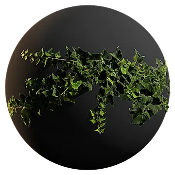 ivy 007 — Descargar