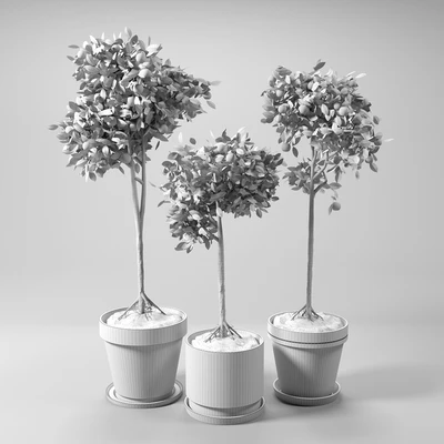 Orange Trees set 01 — Ver 2
