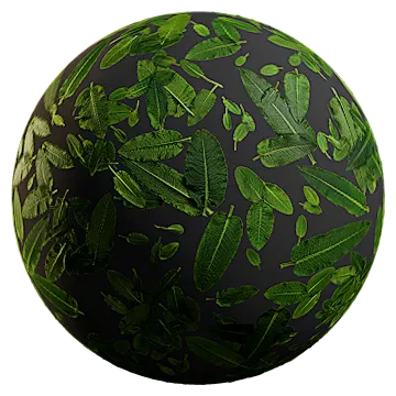 large shrub leaves 002 — Descargar