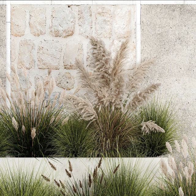 Collection of flowerbed plants and bushes with grass for landscaping, pampas grass, cortaderia and white reeds. 1126. — Descargar