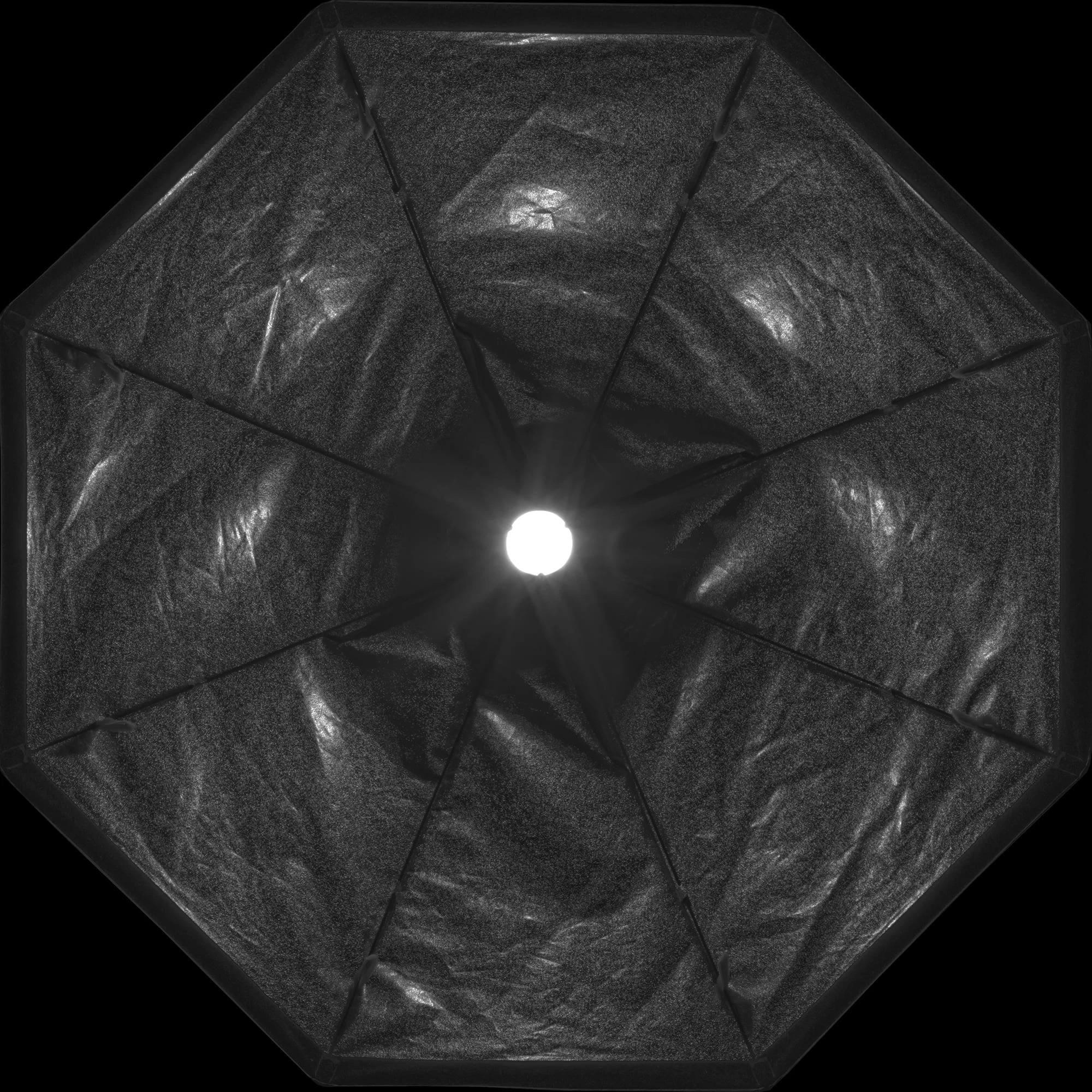 rls019 profoto softbox octa — Download