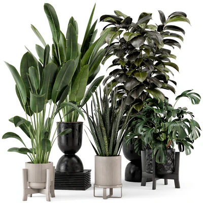 Indoor Plants in Ferm Living Bau Pot Large - Set 583 — Вид 1