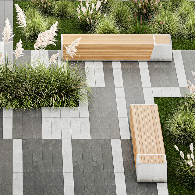 Plants for the urban environment with paving slabs, bench, bench, pampas grass bushes, Cortaderia. 1151. — Descargar