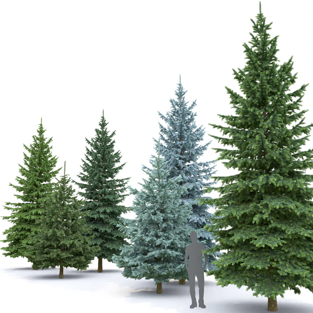 Spruce — Скачать
