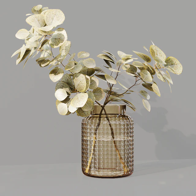 Collaction Indoor Plants 07 — Скачать