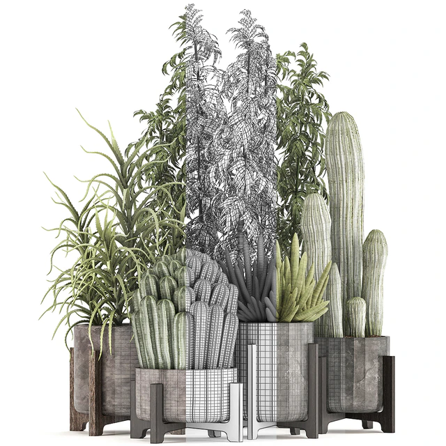 Collection of plants 325. Cactus, thickets, indoor plants, concrete, pot, bamboo, aloe, cactus, desert plants, thickets, outdoor — Descargar