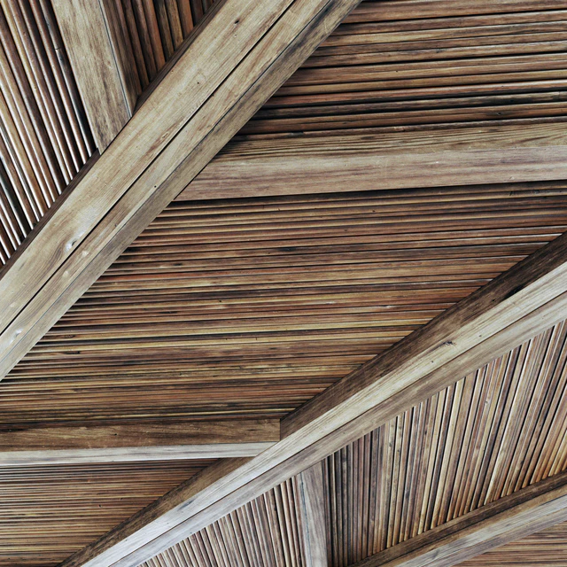 Ceiling diagonal branch straight n2 — Descargar