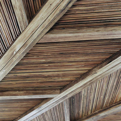 Ceiling diagonal branch straight n2 — Ver 4