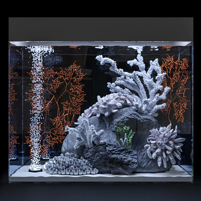 Marine aquarium — View 1