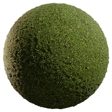 wild grass 047 — Download