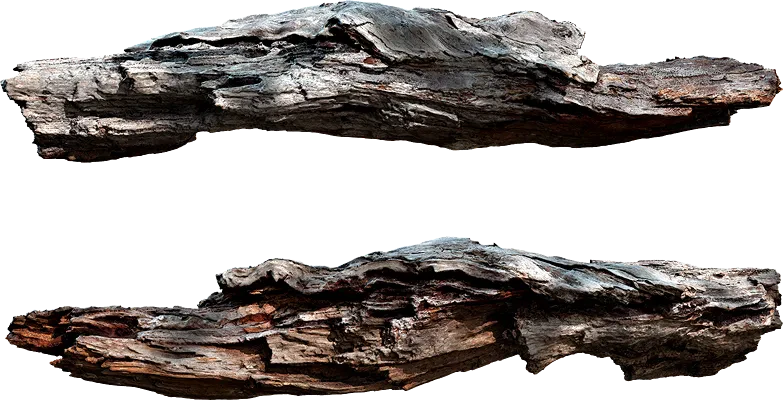 wooden branch 007 — Download