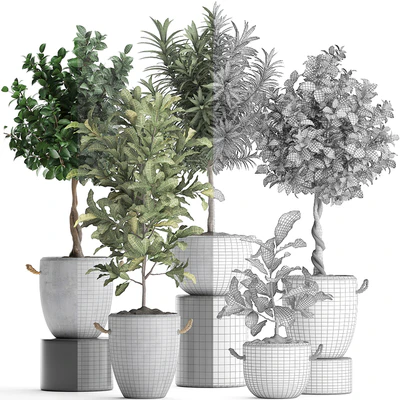 Collection of small trees in concrete pots with handles with Lemon tree, croton, oleander, citrus.  Set 437. — Ver 2