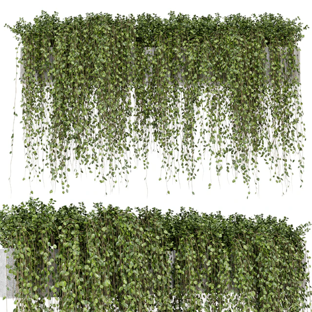 Hanging Plants in rusty Concrete Pot - Set 509 — Descargar