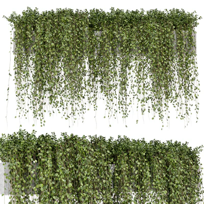 Hanging Plants in rusty Concrete Pot - Set 509 — Ver 1