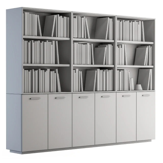 Simple Library with black and white Books — Скачать