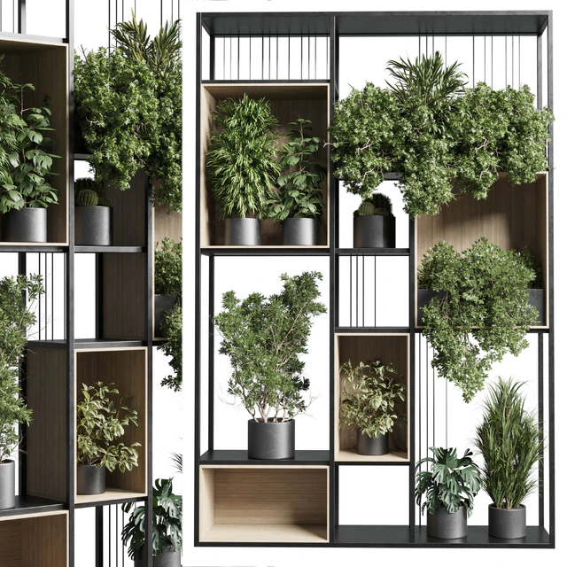 Standing metal shelf with a set 384 of plants in metal boxes corona — Descargar
