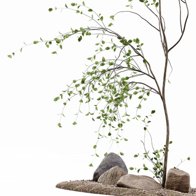 Decoration Indoor Plant — Вид 3