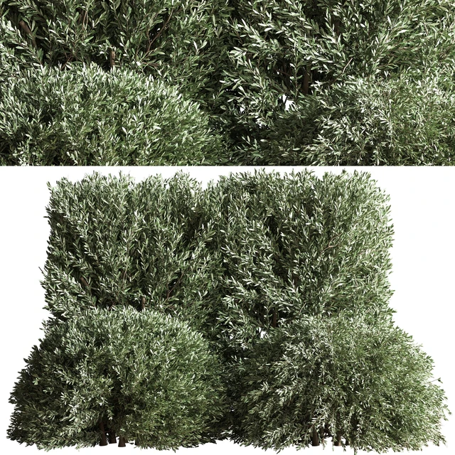 Bush02 — Descargar