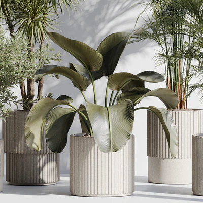 indoor plant set 72 — Ver 2