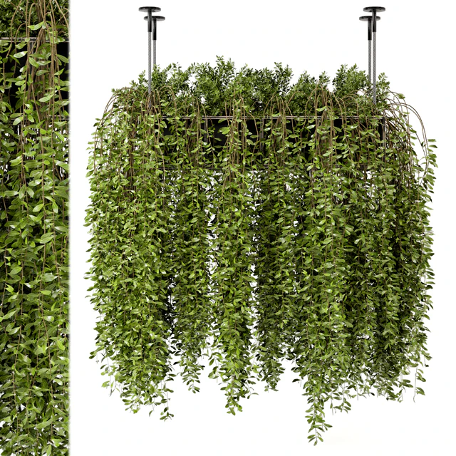 Indoor Hanging Plants in Metal Box - Set 192 — Descargar
