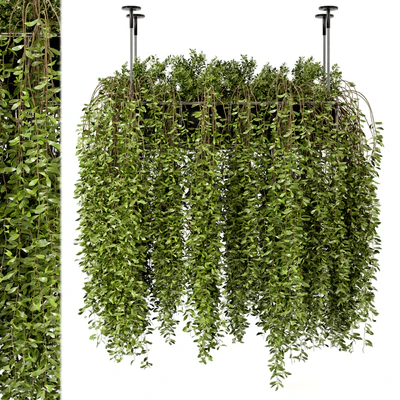 Indoor Hanging Plants in Metal Box - Set 192 — Ver 3