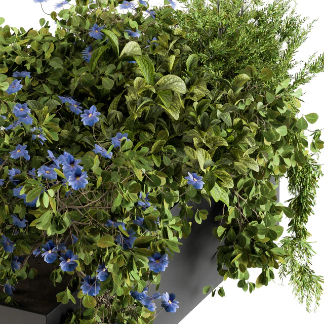 Outdoor Plant Set 208 - Plant Box Blue Flower — Descargar