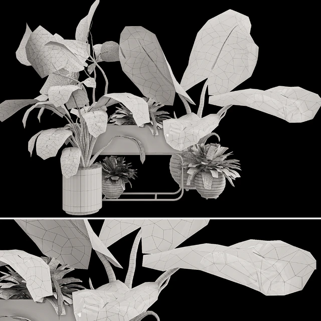 Plant Collection Set 07 — Скачать